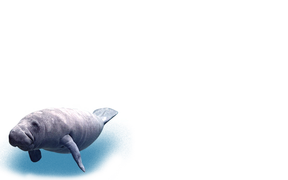 대구의 푸른바다 대구아쿠아리움